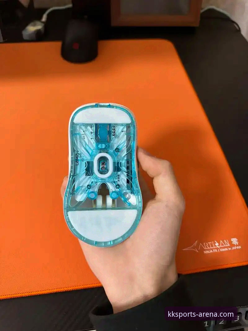 KK体育APP安全吗？这份实用指南帮你避坑